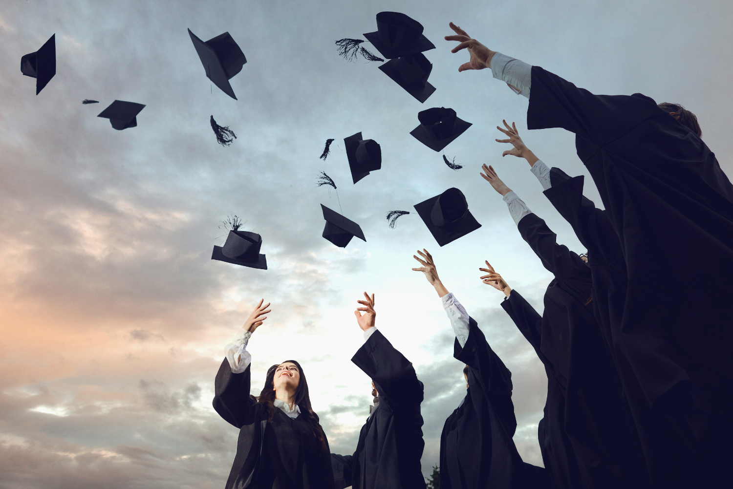 Wat Is Een Bachelor Diploma